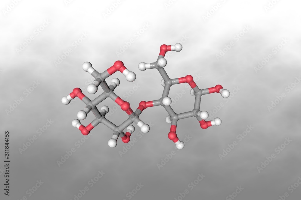 Molecular structure of maltose. Atoms are represented as spheres with ...
