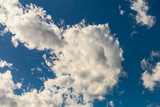 Fototapeta Natura - day blue sky with white cloud closeup as background