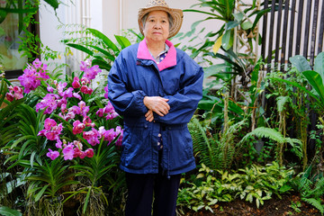 Wall Mural - old elder woman resting in garden. elderly female relaxing outdoors. senior leisure lifestyle