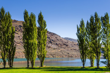 Canvas Print - The lake