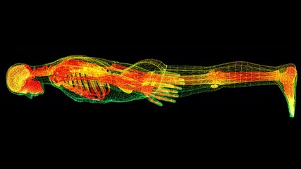 Aufkleber - Futuristic head up display motion element virtual biomedical holographic human body scan neurological examination, axial skeleton, vertebral column, DNA and heart diagnostic for background display
