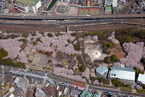 飛鳥山公園の桜と新幹線 空撮 Stock Photo Adobe Stock