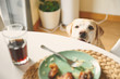 © Anna Belova - Dog on a diet. Labrador retriever looks at the food on the table. Dog want food.