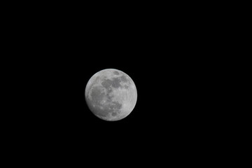Wall Mural - full moon in the sky