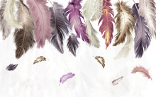 3d Illustration, White Background, Multi-colored Feathers Of Different Sizes
