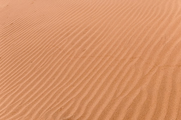 Wall Mural - Texture of rippled sand