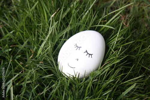 Sleeping eastern egg in grass Tableau sur Toile