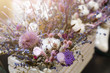 bouquet of dry flowers of purple, blue, white, red color, white backround