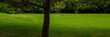 © APHOTOSTUDIO - Green lawn in the park.