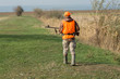 © Mountains Hunter - A man with a gun in his hands and an orange vest on a pheasant hunt in a wooded area in cloudy weather. Hunter with dogs in search of game.