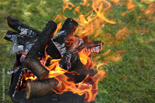Bonfire, picnic, barbecue, barbecue firewood, cook, barbecue Bonfire, picnic, barbecue, barbecue firewood, cook, barbecue