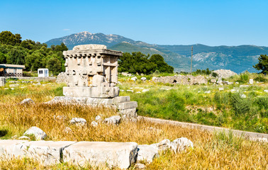 Wall Mural - Ancient city of Xanthos in Turkey