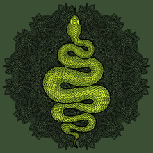 Coiled Snake Detailed Illustration
