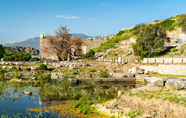 Canvas Print - Ruins of the Letoon in Turkey