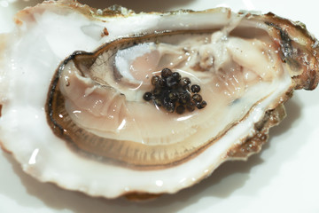 Wall Mural - Gourmet dish, delicious black sturgeon caviar with oyster on the white plate