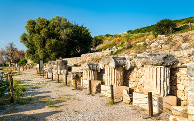 Canvas Print - Ruins of the Letoon in Turkey