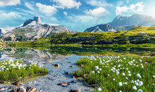 Awesome Nature Landscape. Alpine Lake With Crystal Clear Water And Frash Grass And Flowers. Perfect Blue Sky And Mountains Peaks. Incredible View Of Dolomites Alps. Tre Cime Di Lavaredo National Park