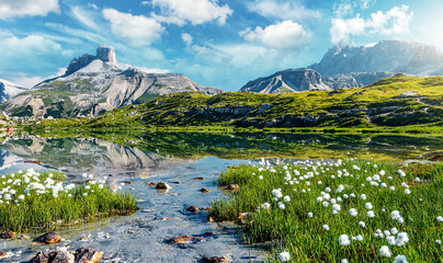 Fotomurali - Awesome Nature Landscape. Alpine lake with crystal clear water and frash grass and flowers. Perfect Blue sky and mountains peaks. Incredible view of Dolomites Alps. Tre Cime di Lavaredo National park