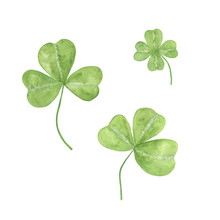 Shamrock For St Patrick's Day Free Stock Photo - Public Domain Pictures