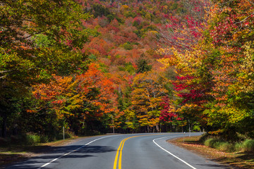 Curve in the road through colorful forest in autumn.