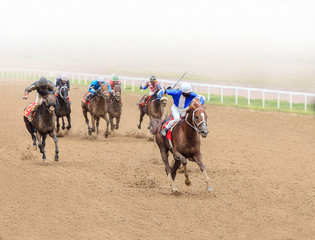 Wall Mural - jockey horse racing isolated on white background