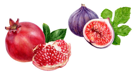 Wall Mural - Pomegranate fig composition watercolor isolated on white background