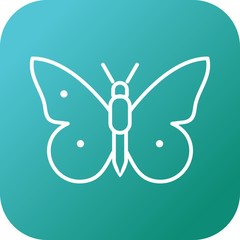 Poster - Unique Butterfly Line Vector Icon