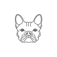 Bulldog Sketch Drawing / Coloring Black White Illustration Logo
