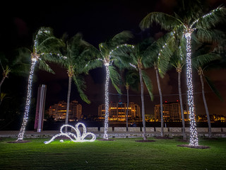 Holiday decorations in Miami Beach South Pointe Park