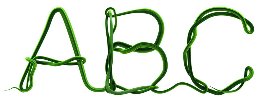 Plant Vines Green, ABC