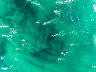 Wall Mural - Swimmers at Manly beach, Sydney, Australia