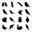 Birds icon set. silhouette style