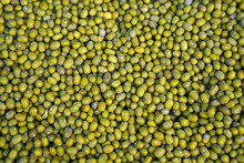 Dry Green Lentils For Food Patterns
