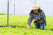 © khwanchai - Farmer woman checking hydroponic vegetable in farm
