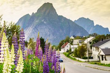 Sticker - Norwegian fishing village, Reine Lofoten Norway