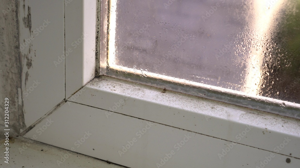 Black mold growth on window frame. Condensation on the glass. Moisture and Mold Problems. Mold or mould, mildew, is a fungal growth that develops on wet materials