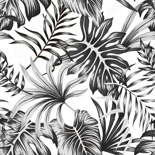 Tropical black and white palm leaves seamless pattern white background. Exoti...