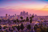 Fototapeta Nowy Jork - Amazing sunset view with palm tree and downtown Los Angeles. California, USA