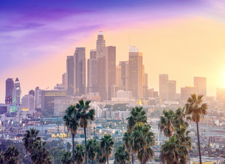 Amazing sunset view with palm tree and downtown Los Angeles. California, USA