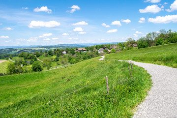 Wall Mural - Swiss countryside outside Adliswil in Switzerland