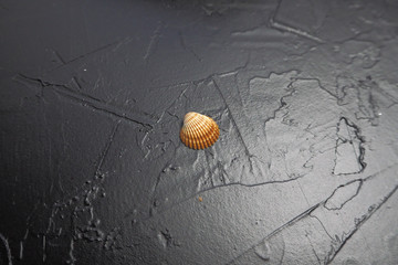 shell 