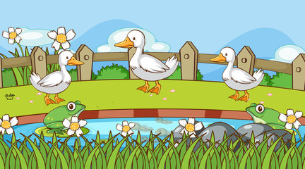 Sticker - Scene with ducks and frogs by the pond