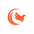 luxury  phoenix logo vector