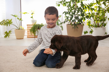 Wall Mural - Little boy playing with puppy at home. Friendly dog