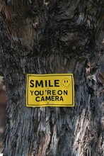Smile, You Are On The Camera. Smile Board You Are Being Filmed.