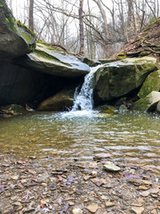 Wall Mural - waterfall in forest