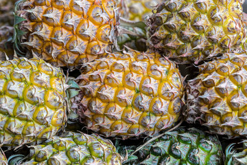 Pile of pineapples