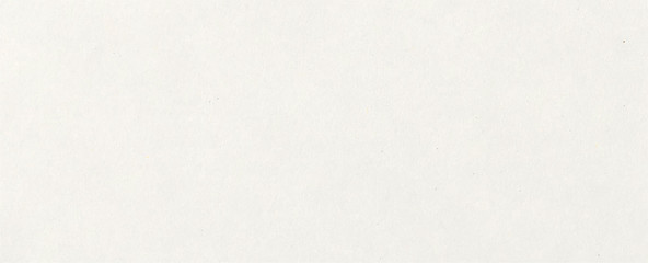 Wall Mural - white pound paper texture canvas vintage