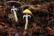 Two Mushrooms With Eyes