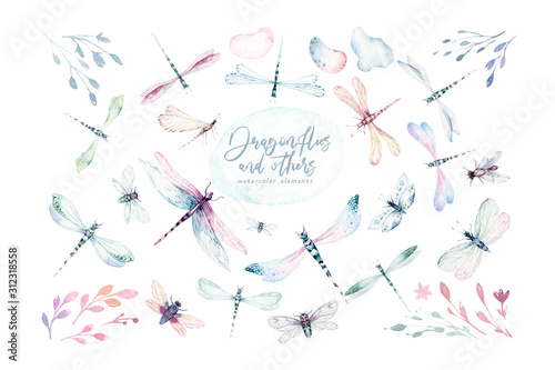 Watercolor fly dragonfly spring wings illustration summer insect collection of b Poster Mural XXL